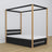 Black and Oak Canopy Bed – Drawer for Additional Mattress, Wooden